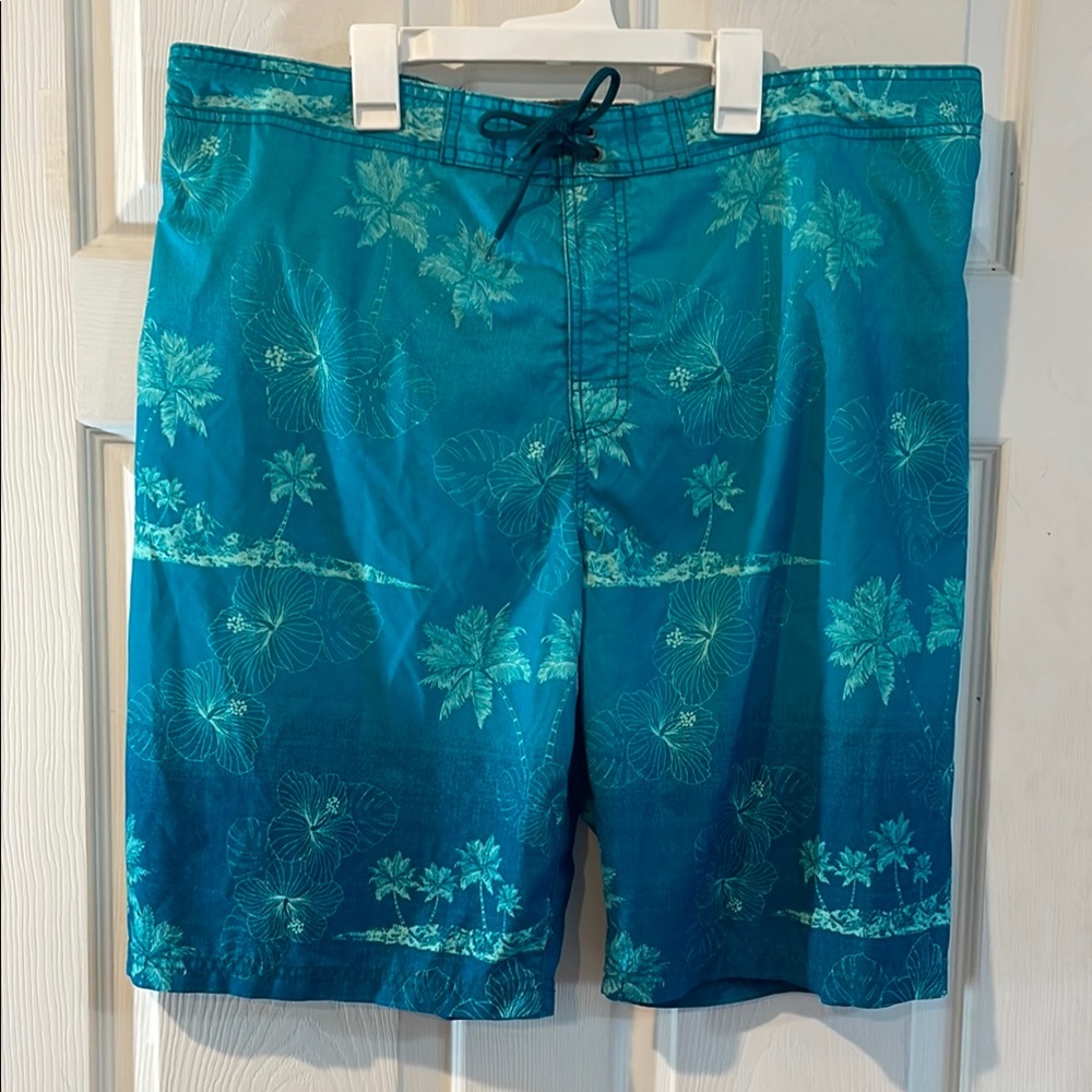 Roundtree & Yorke Size XL Men Swim Trunks
